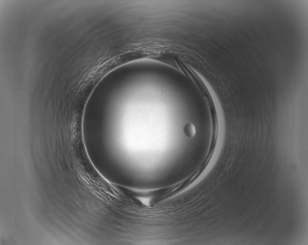 X0000086320600200703301220