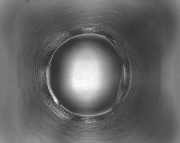 X0000086320601200703301220