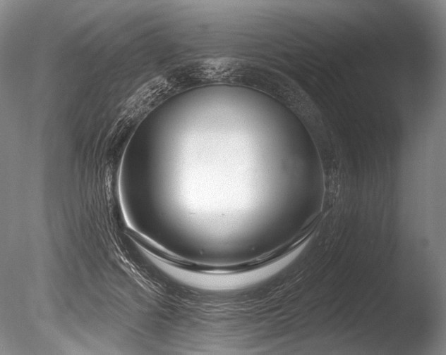 X0000086320602200703301220