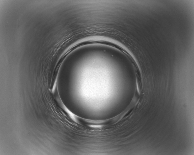 X0000086320604200703301220