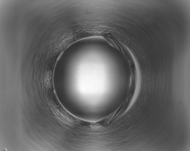 X0000086320605200703301220