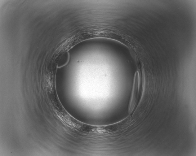 X0000086320607200703301220