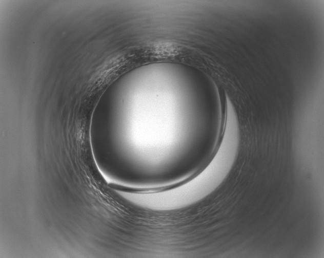 X0000086320608200703301220