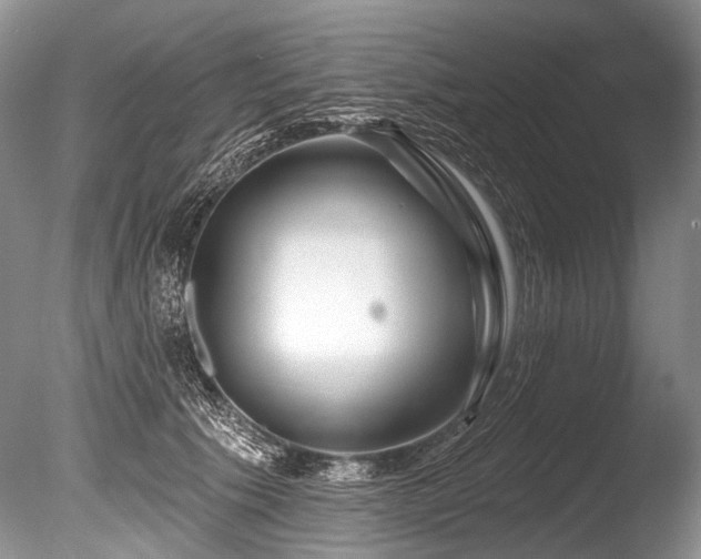 X0000086320609200703301219