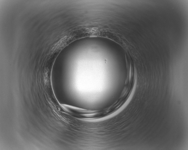 X0000086320611200703301219