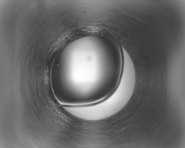 X0000086320612200703301219