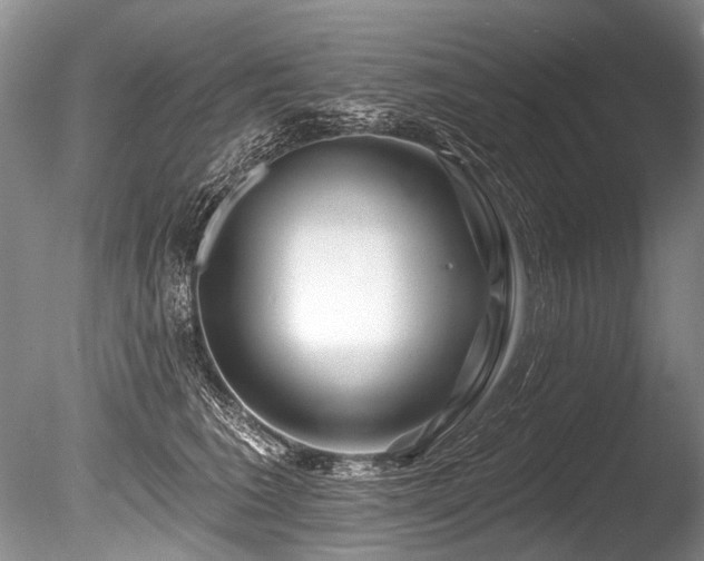 X0000086320613200703301219