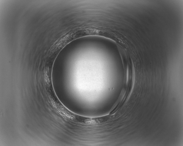 X0000086320616200703301219