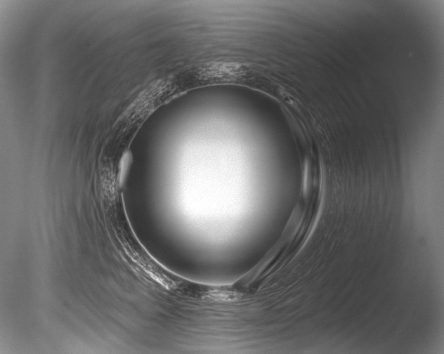 X0000086320617200703301219