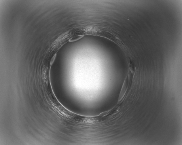 X0000086320619200703301219