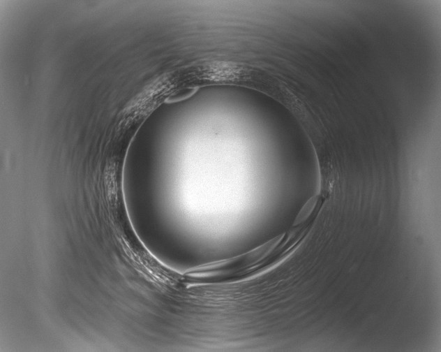 X0000086320620200703301219