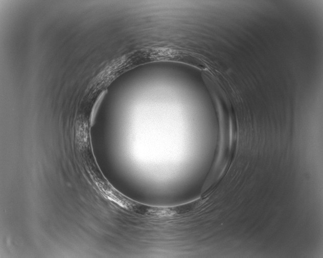 X0000086320621200703301219