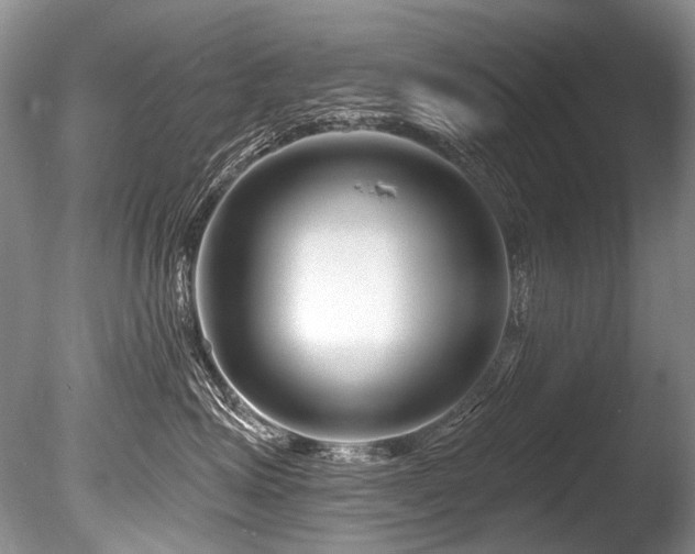 X0000086320623200703301219