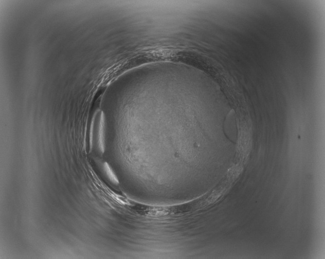 X0000086320624200703301219