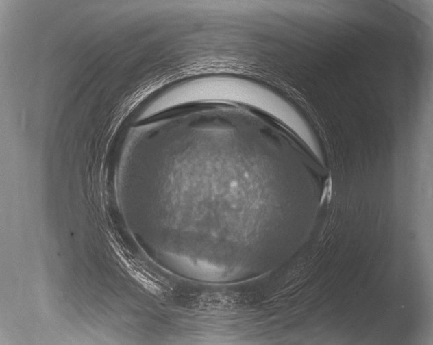 X0000086320627200703301218