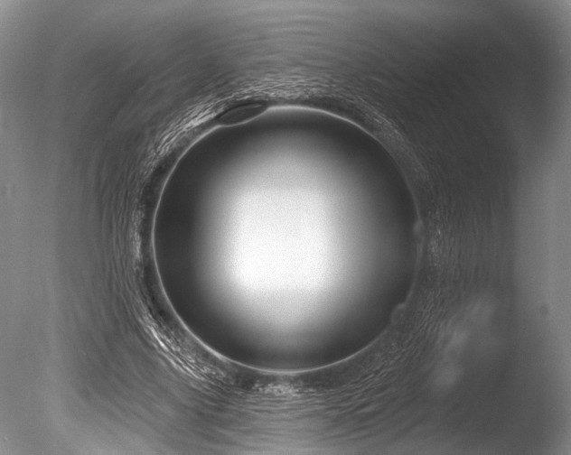 X0000086320635200703301219