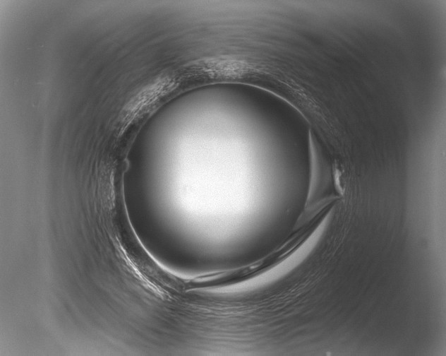 X0000086320638200703301219