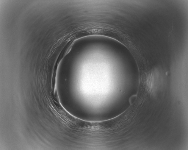 X0000086320645200703301219