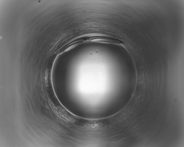 X0000086320646200703301219