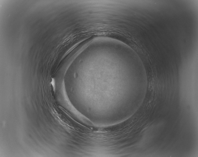 X0000086320647200703301219
