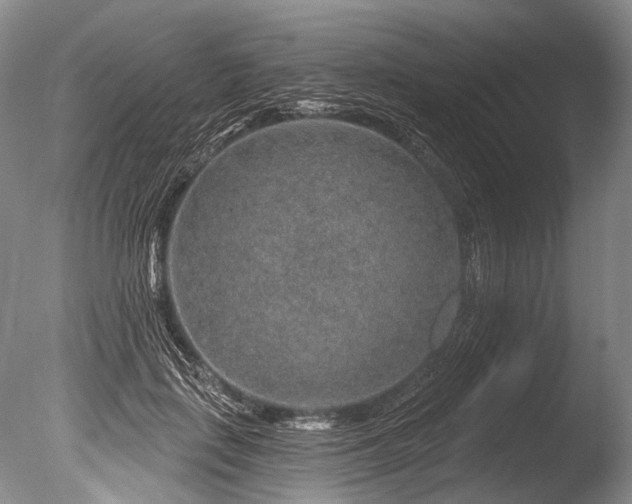 X0000086320651200703301219