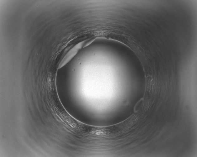 X0000086320655200703301219
