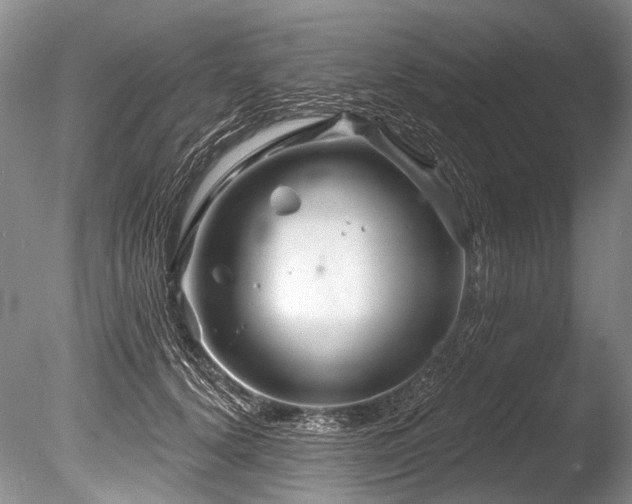 X0000086320656200703301219
