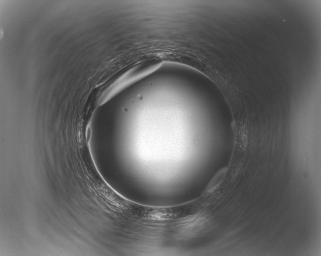 X0000086320657200703301219
