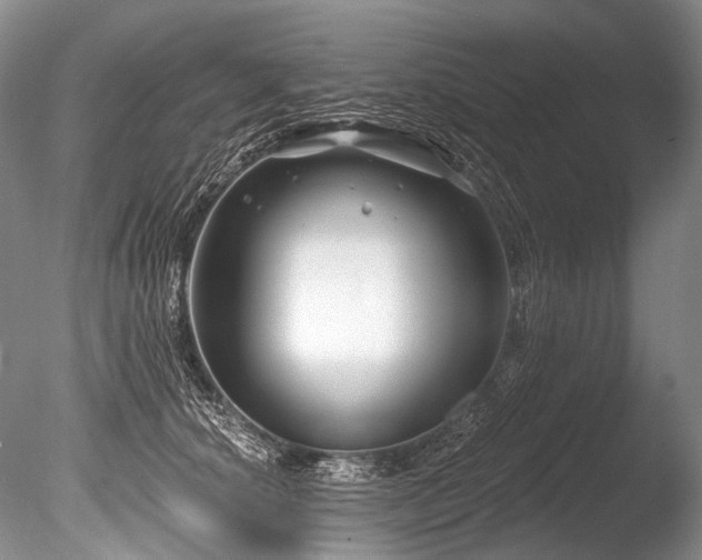 X0000086320660200703301219