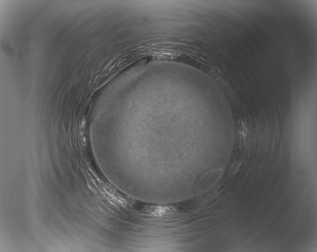 X0000086320663200703301219