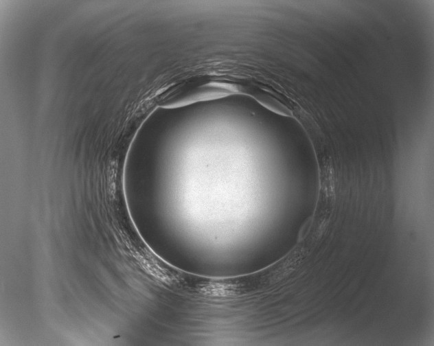 X0000086320664200703301219