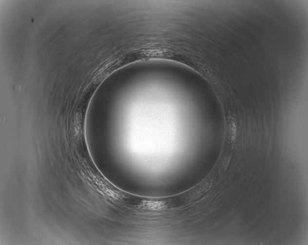 X0000086320665200703301219