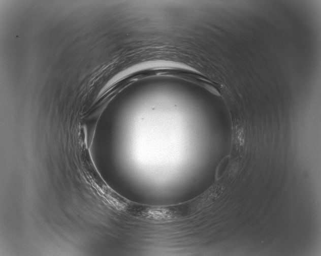 X0000086320666200703301219