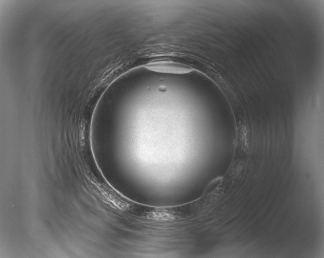 X0000086320668200703301219
