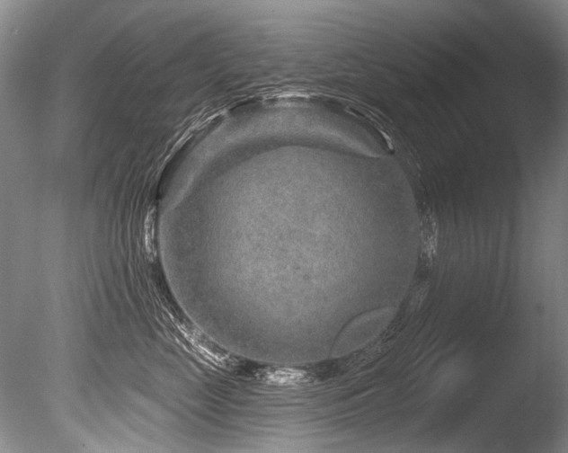 X0000086320669200703301219