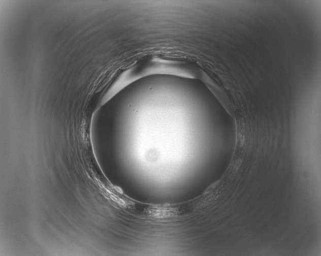 X0000086320670200703301219