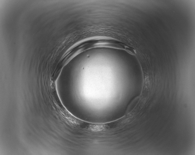 X0000086320671200703301219