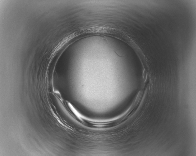 X0000086320674200703301218