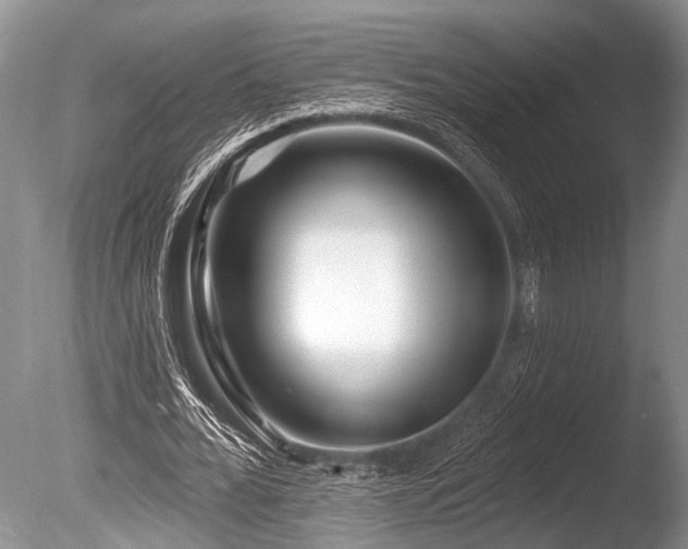 X0000086320676200703301218