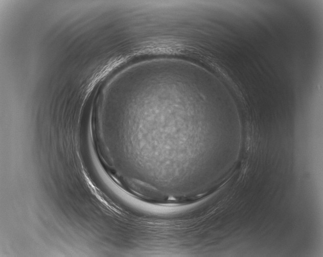 X0000086320677200703301218
