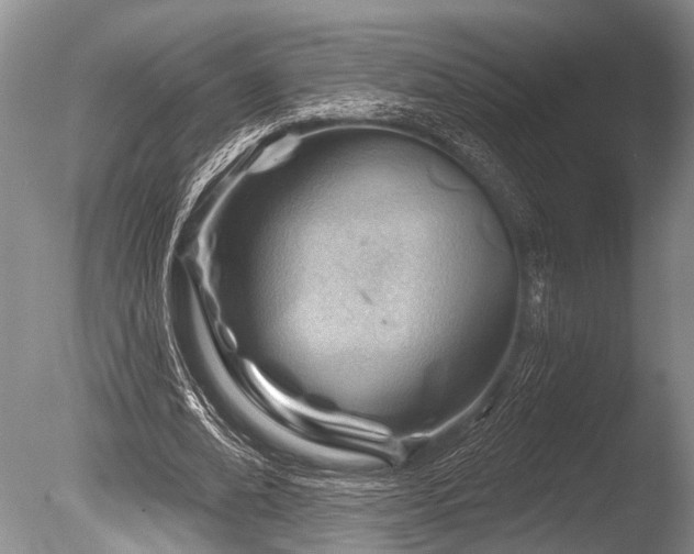 X0000086320678200703301218