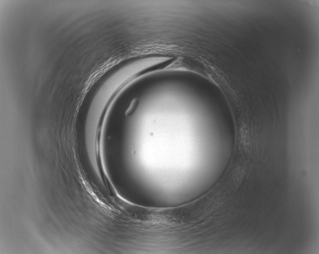 X0000086320682200703301218
