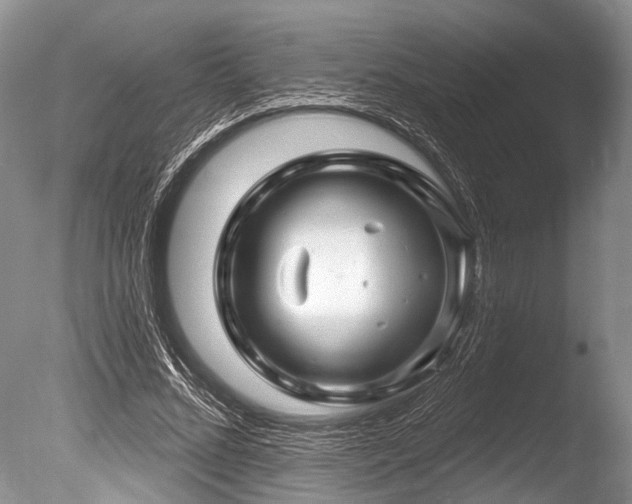 X0000086320684200703301218