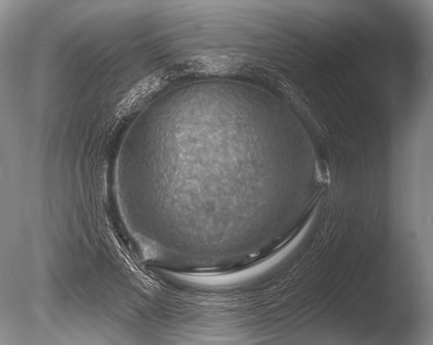 X0000086320685200703301218