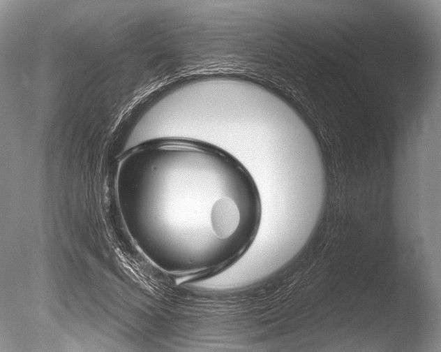 X0000086320688200703301218