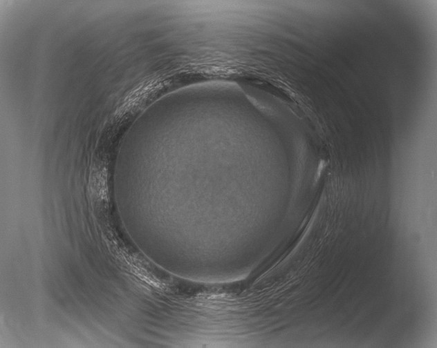 X0000086320689200703301218