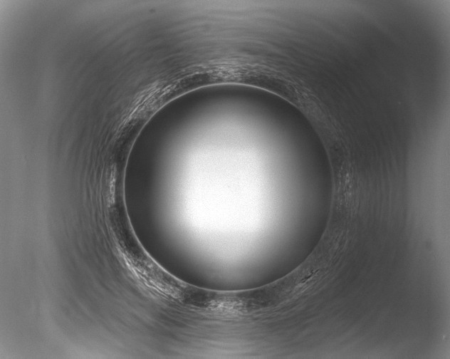 X0000086320694200703301218