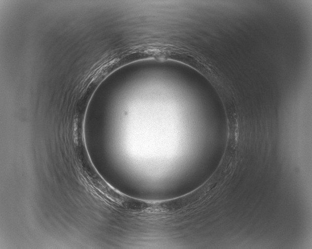 X0000086320696200703301218