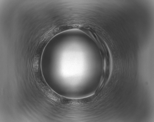 X0000086320697200703301218