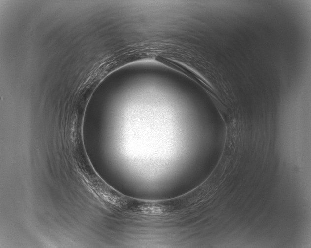 X0000086320698200703301218